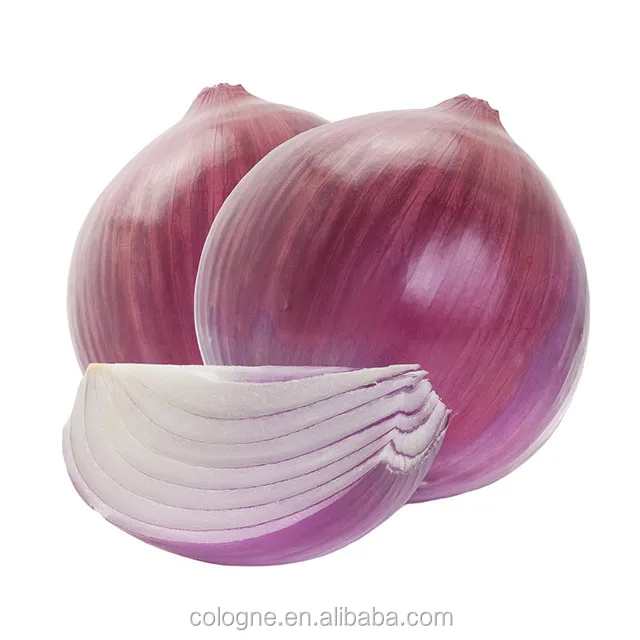 Fresh Chinese 4cm to 6cm red onion to Egypt product