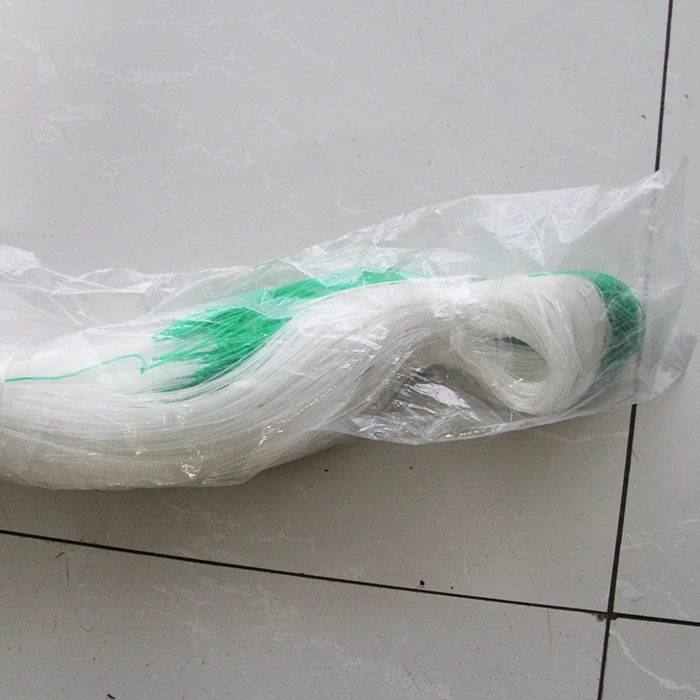 Climbing plant support net