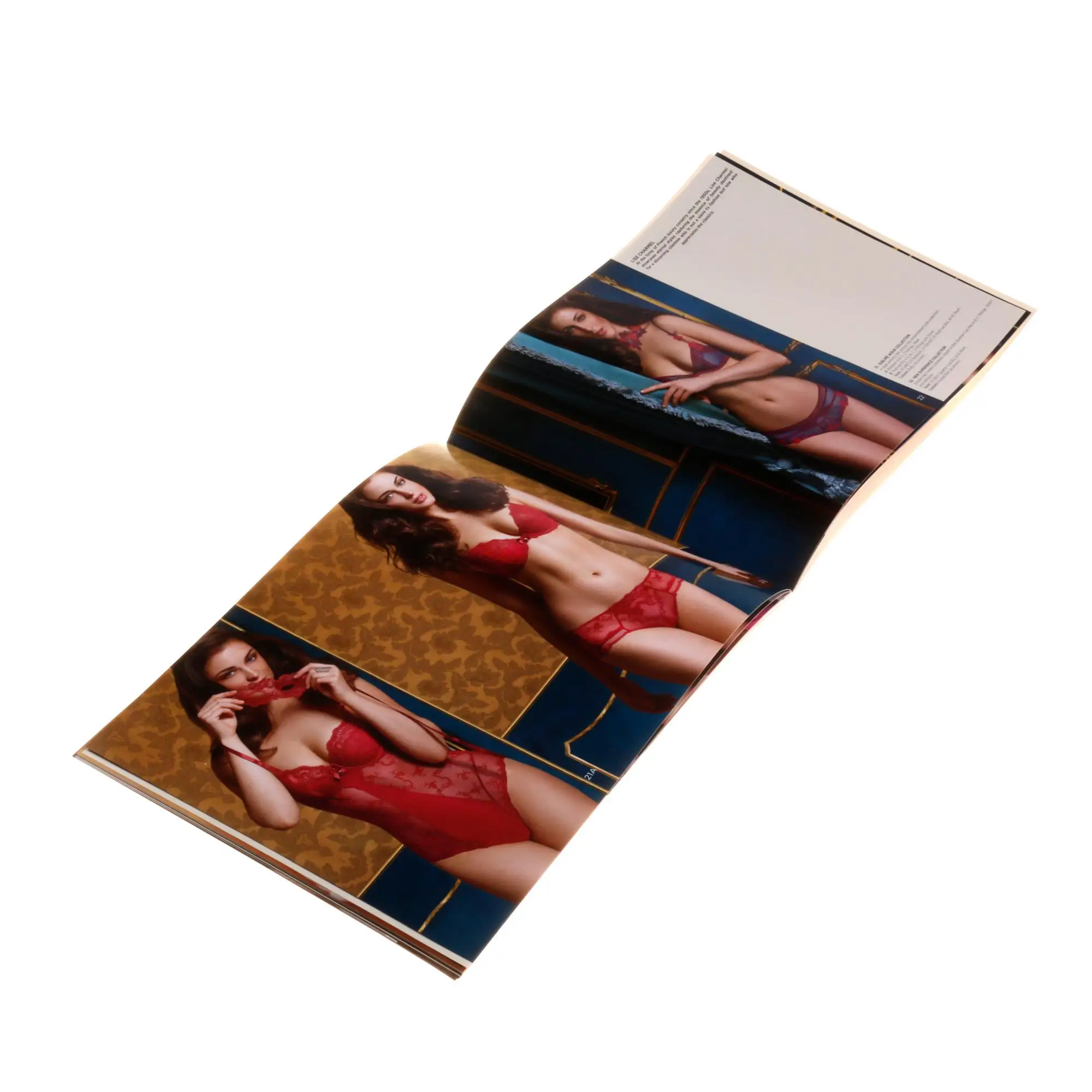 A5 softcover booklet custom color gold foil brochure printing