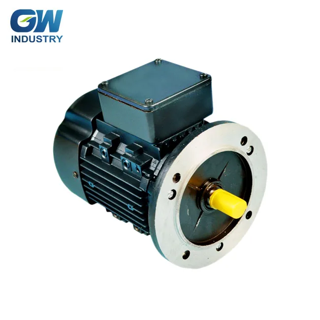 Professional manufacturers to produce single-phase dual capacitor water pump motor