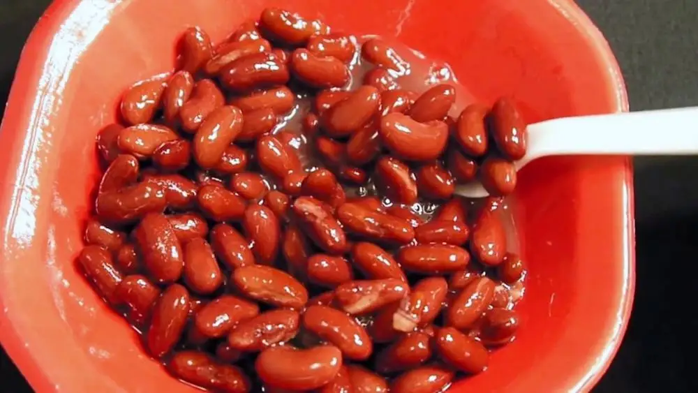 types of canned pinto beans 400g in brine/in tomato sauce