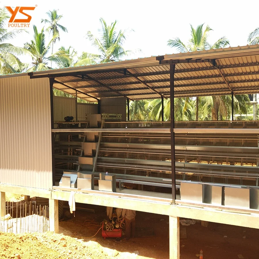 Battery Type A layer Egg Chicken Cage in Sri Lanka
