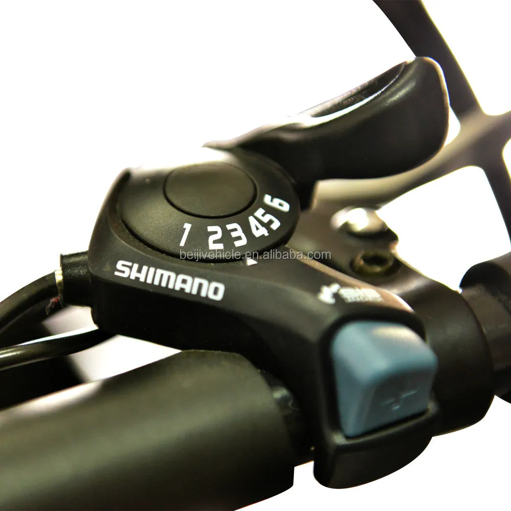 Holland family three-wheeler electric cargo bike price