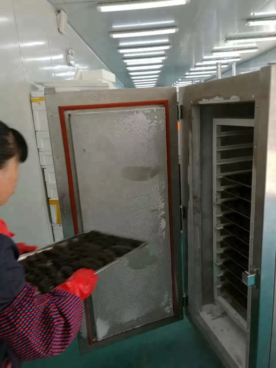 DJL -86 degree ultra low temperature freezer liquid nitrogen sea cucumber supper freezer / holothurian freezing machine