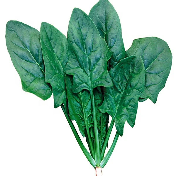 
Hybrid f1 Spinach seed LS101(2118) 