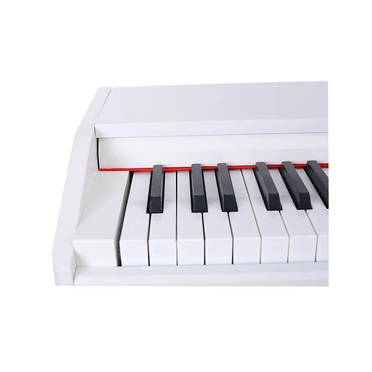 KD-8815 Kerid digital piano with standard keyboard and PVC case