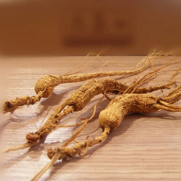 
High Premium Wild Mountain Ginseng Panax Root 