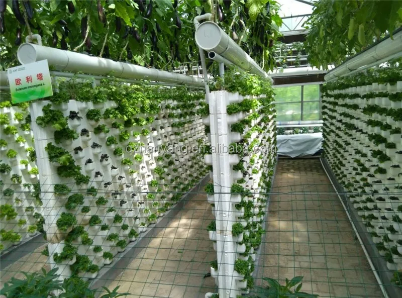 A Complete Vertical PVC Hydroponic System and Gable Shaped Greenhouse