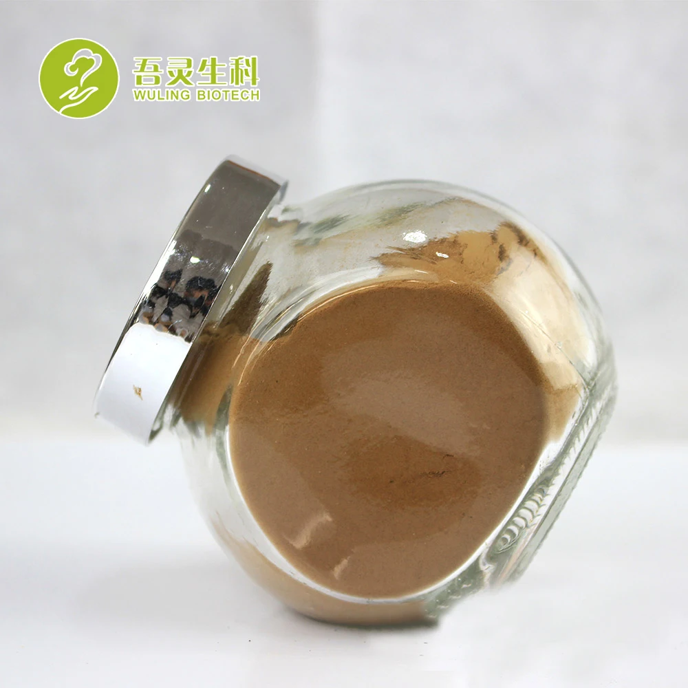High Quality Recipe Turkey Tail Fungus Turkey Tail Mushroom Extract