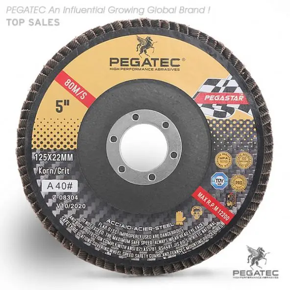 PEGASTAR 125x22mm flap disc for metal and steel with MPA certification