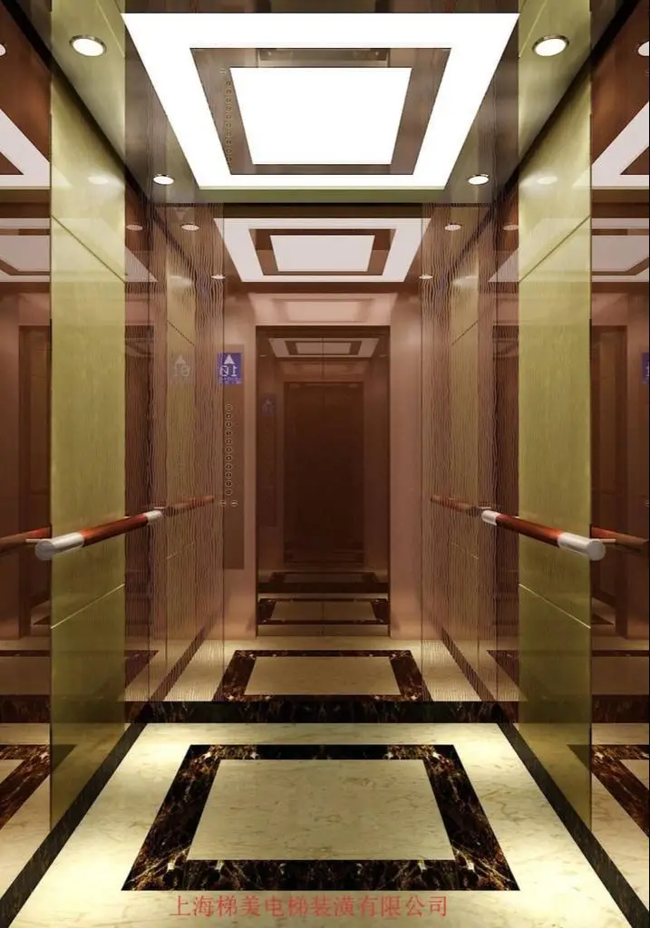 
6 persons small machine room passenger home elevator 