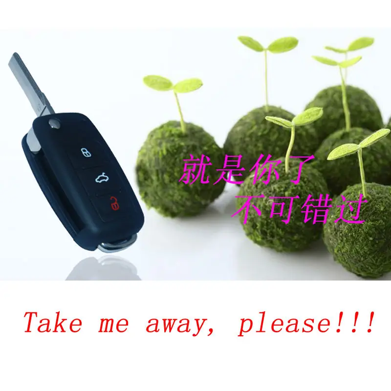 Volkswagen ключы ад машыны ахоўная вечка ключы ад машыны аддаленых вокладкі