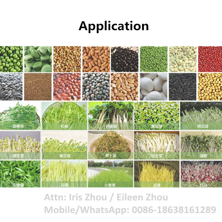 Multi-Layered Good Performance Automatic Bean Sprout Growing Machine Commercial Mung Bean Sprout Machine