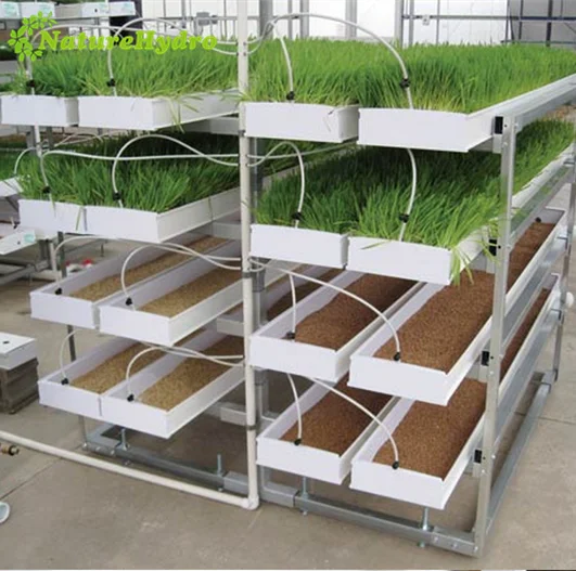 Hydroponic forage systems alfalfa fodder system for sale