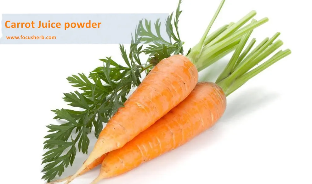 
Factory price Daucus carota carrot fiber powder 