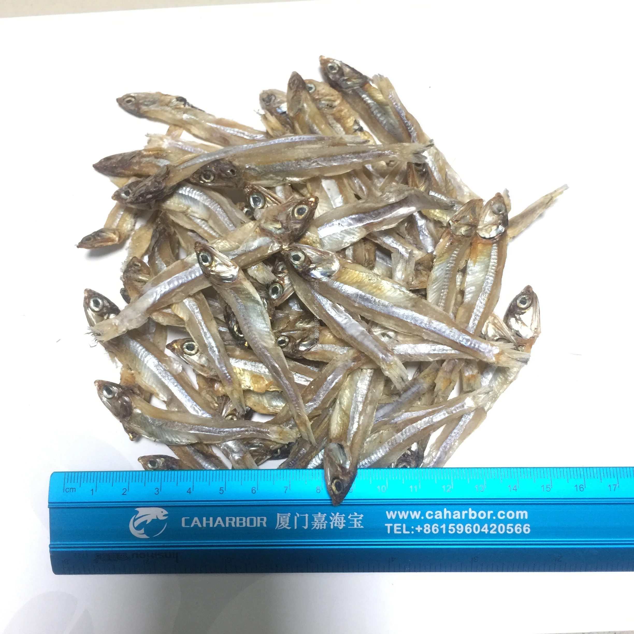 Grade AAA Quality High Nutritive Dry Anchovy Fish