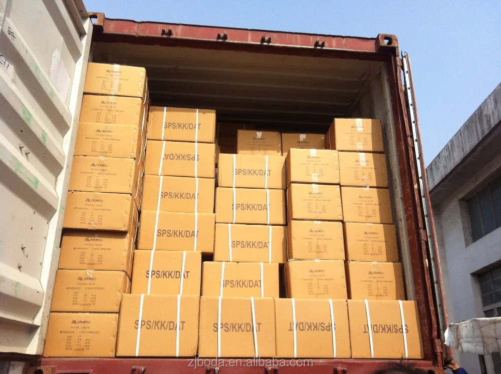 pvc swing injection ball check valve with with female thread connector (BD-01)