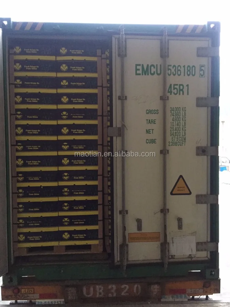 Груши Шаньдун