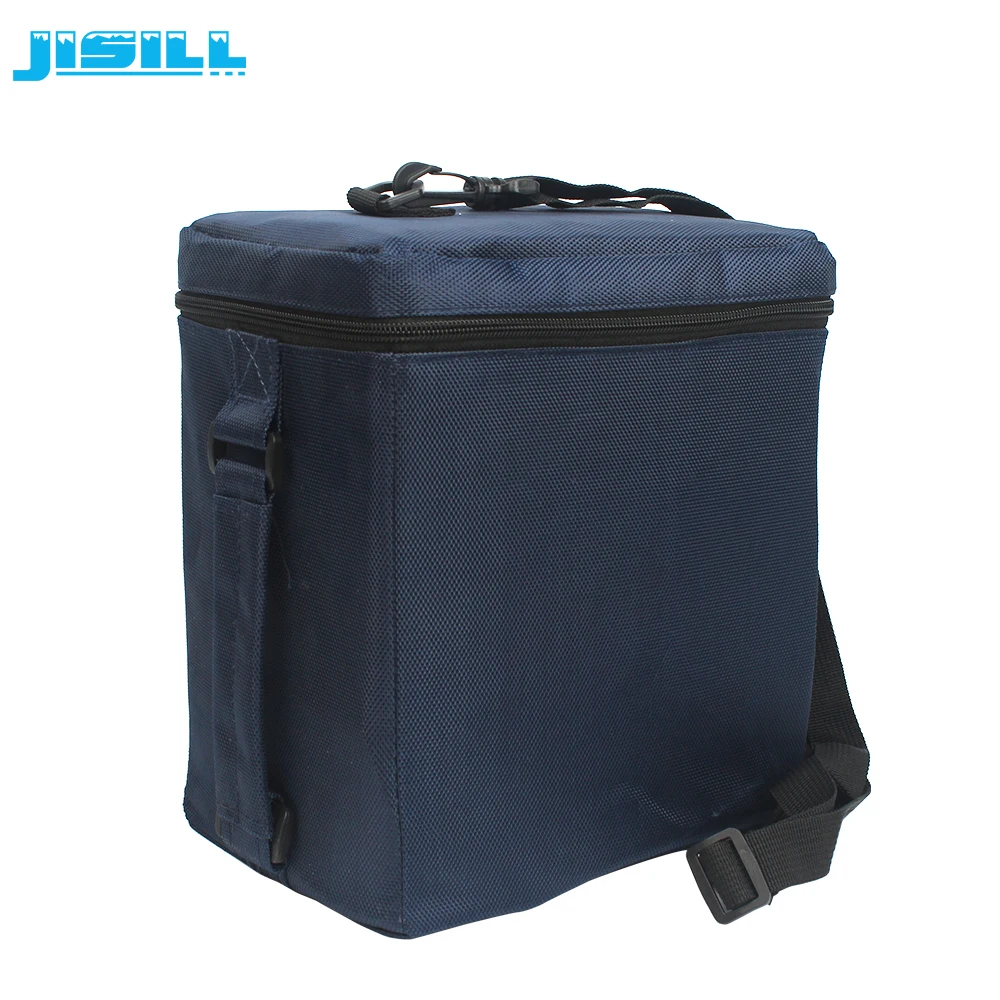 Factory Wholesale Isothermal Smart Vaccine Cooler Bag Thermal PU Foaming/vpu Vacuum Insulation Panel CANS 600D Oxford Cloth 4L