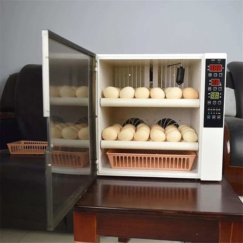 High hatching rate new design 60 capacity double power automatic  incubator /Egg hatching machine price +86-15864187972