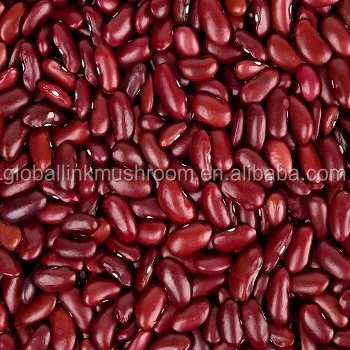 New Crop Red Kidney Beans British red kidney baens