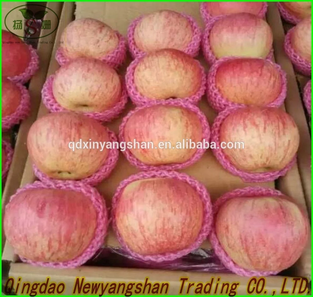Fresh Apples quality manual from Shandong province