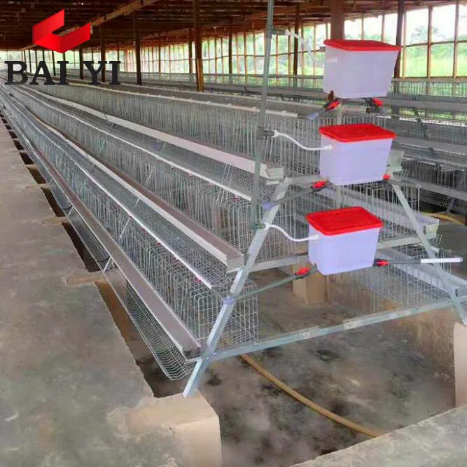 Wholesale Battery Chicken Coops and Equipment Poultry Algeria