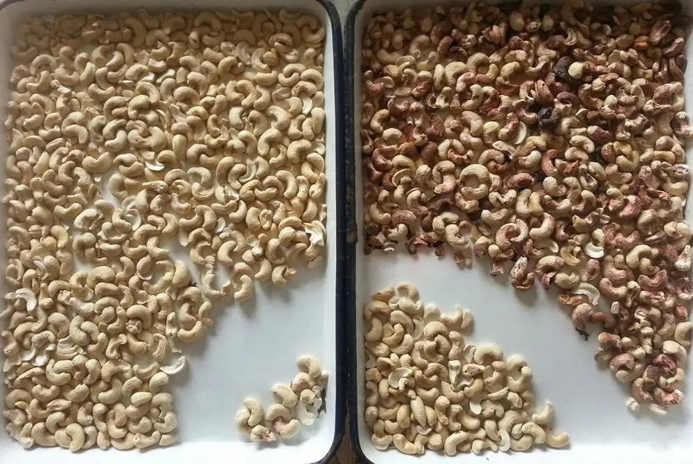 Pine Nuts Color Sorter for Nuts Sorter by Colors Cashew walnuts almond peanut grading and sorting equipment china