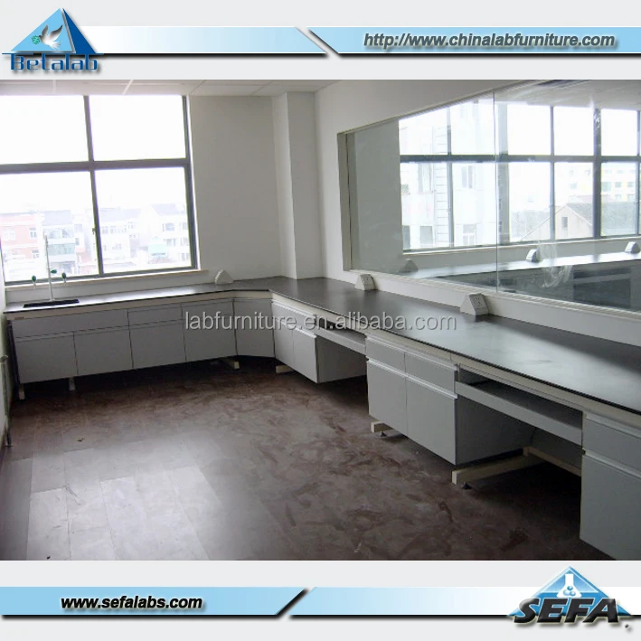 Microbiology Laboratory Equipment Lab Furniture Steel Workbench with Wooden Cabinet