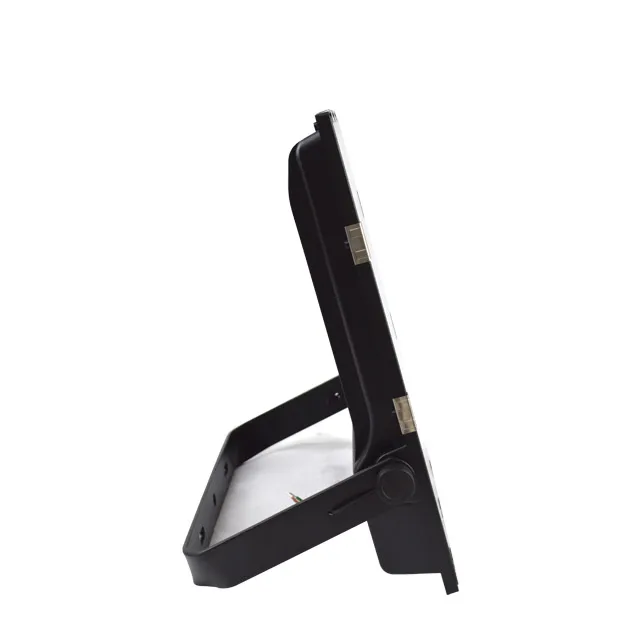 DMX Wireless IP65 50W 100W RGB Led Flood Light For Outdoor Decoration Lighting