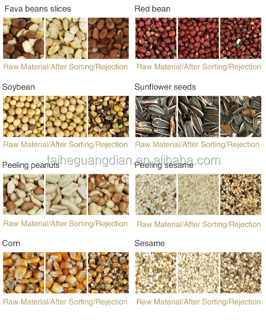 High Sorting Accuracy CCD Seeds Color Separator