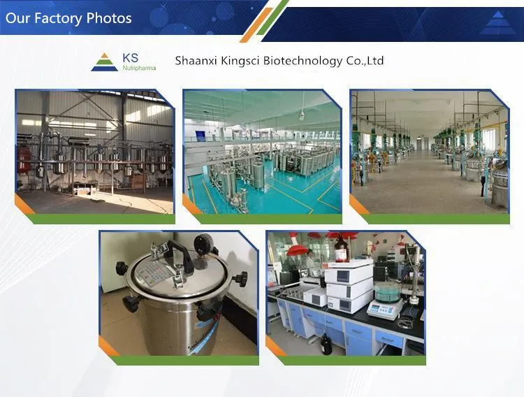 
Factory Supplying for Mct Oil Powder/Mct Powder 100%/Mct Oil/ Medium Chain Triglycerides 