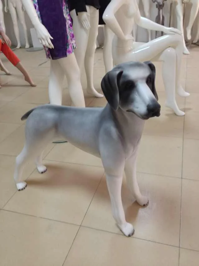 display dog mannequin animal manikin for sale