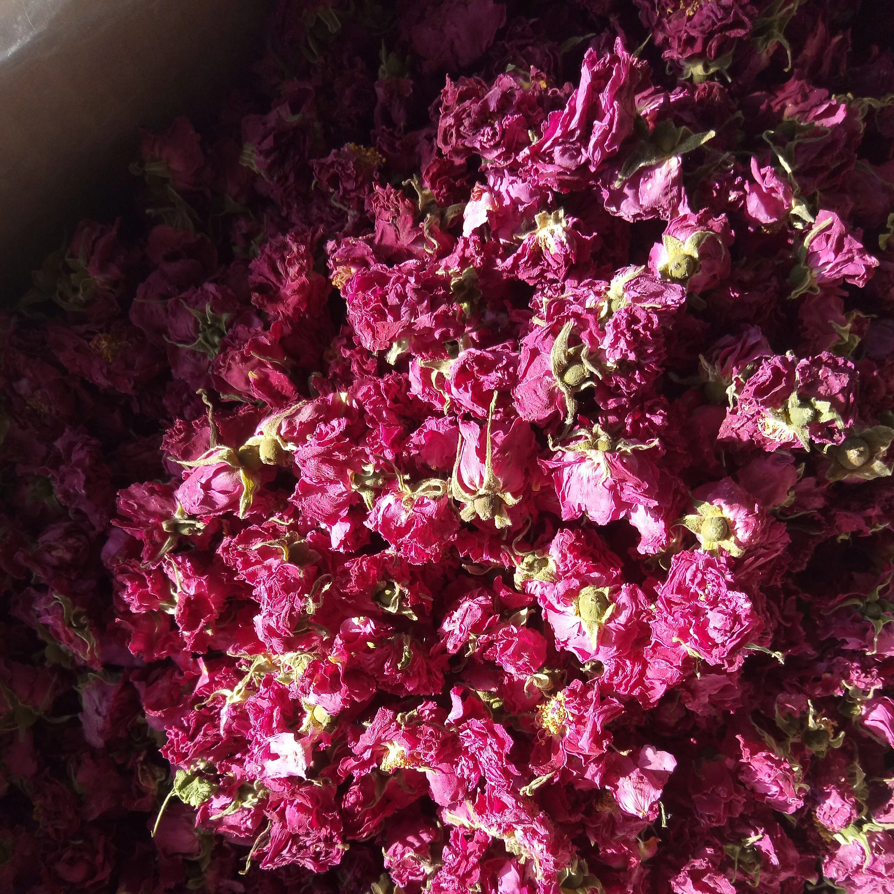 Pingyin розы маленький meigui Shandong полностью высушенные цветы чай