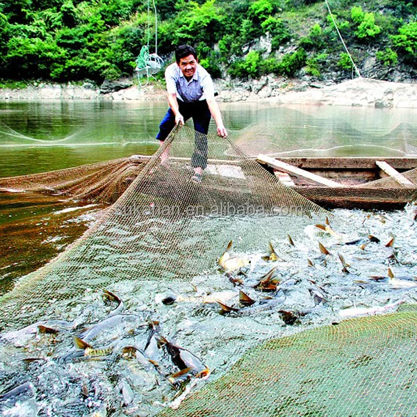 Добавка для пробиотиков жидких удобрений для рыбы