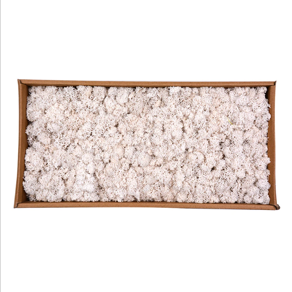 
Wholesale Best Quality Kunming Grade A Preserved Reindeer Dried Moss for Wall Decoration 