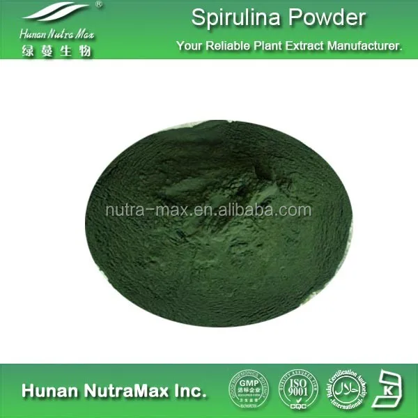 Health Sea Food Seaweed Powder Kelp Powder with Protein 60%