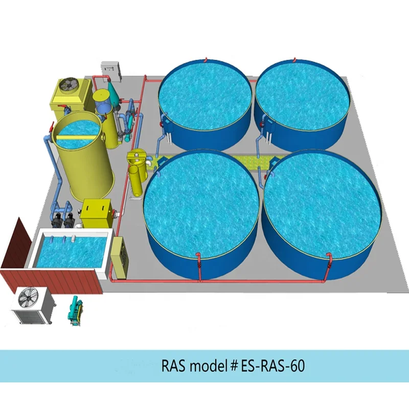 
Indoor recirculating aquaculture system fish farming RAS Solution for Tilapia Fish farming 