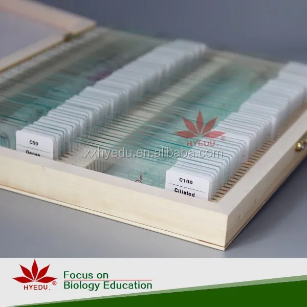 Высококачественный микроскоп 100 шт. в комплекте готовые слайды с прямой фабрики