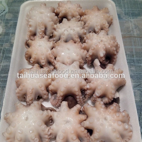 Frozen seafood octopus whole round export