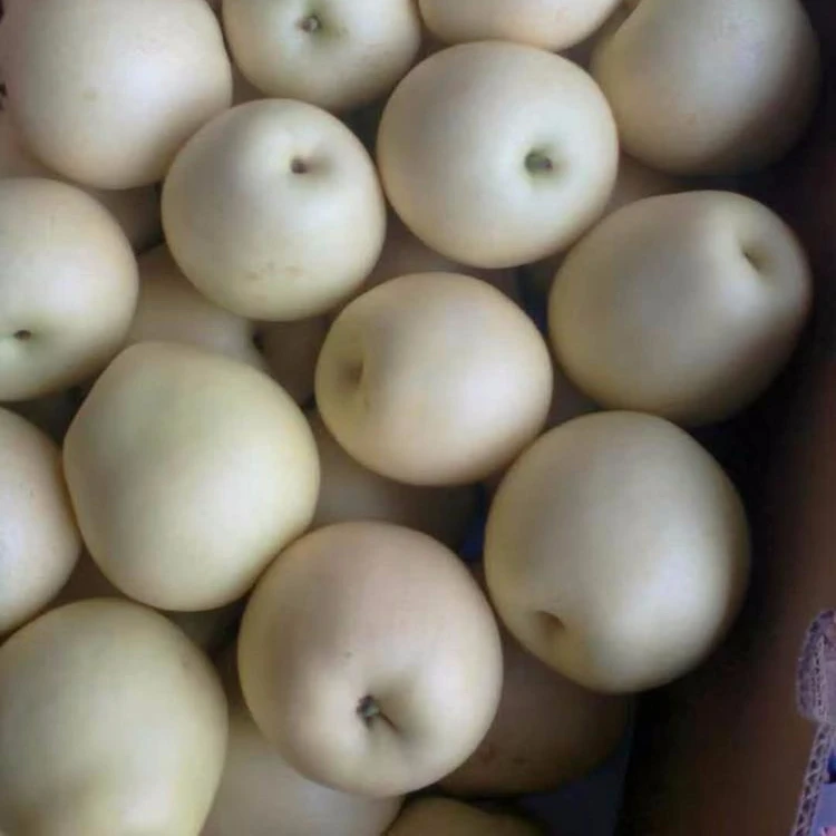 Fresh pear ya pear, golden pear