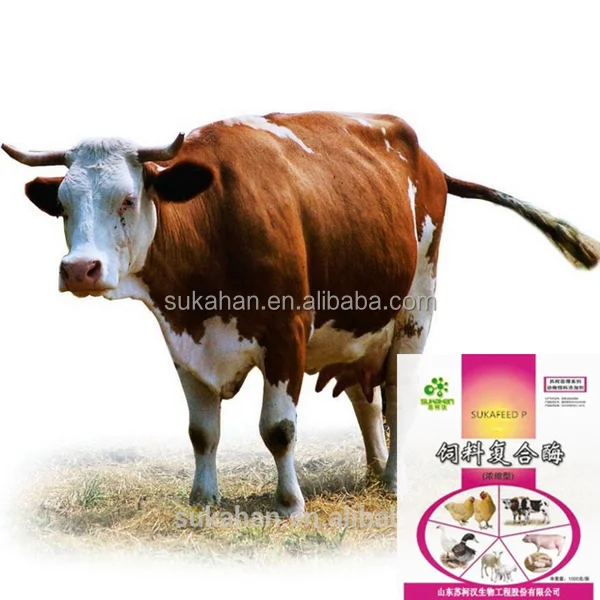 
Best Quality Promotional Cattle Feed Additive Artificial Grass Flavor Premix for animal 