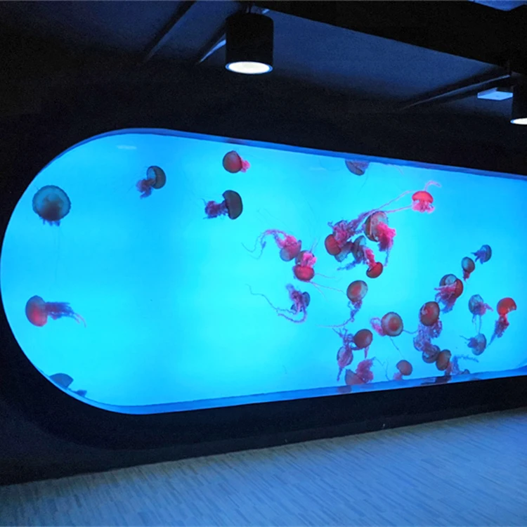 2020 Acrylic Jelly Fish Tank Producer; Custom acrylic jellyfish aquarium