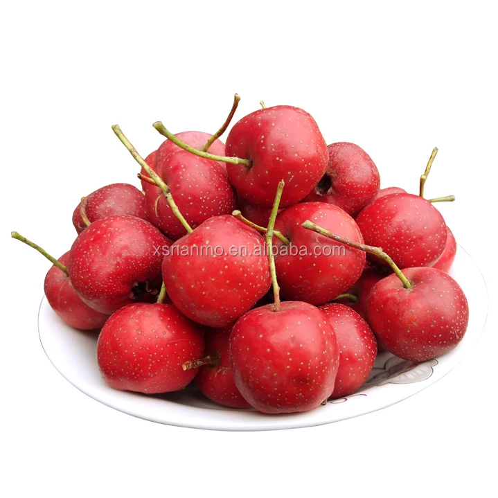 
Edible herbal medicine dried Hawthorn Maythorn 