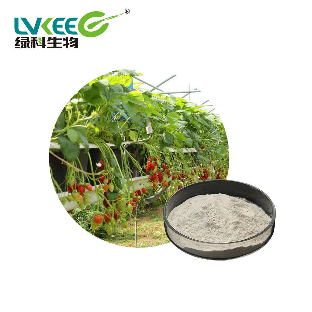 Биомикробное удобрение Bacillus licheniformis для сельскохозяйственного кондиционера почвы