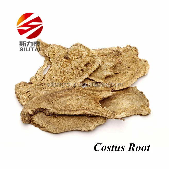 
Hot Sale Crude Medicinal Materials Costustoot 