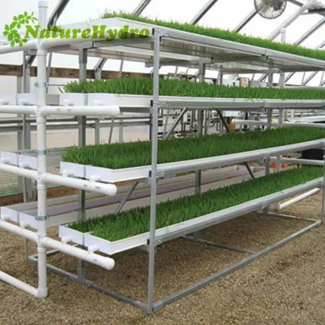 Новый продукт 5 галлонов ведро 8X4 Гидропоника