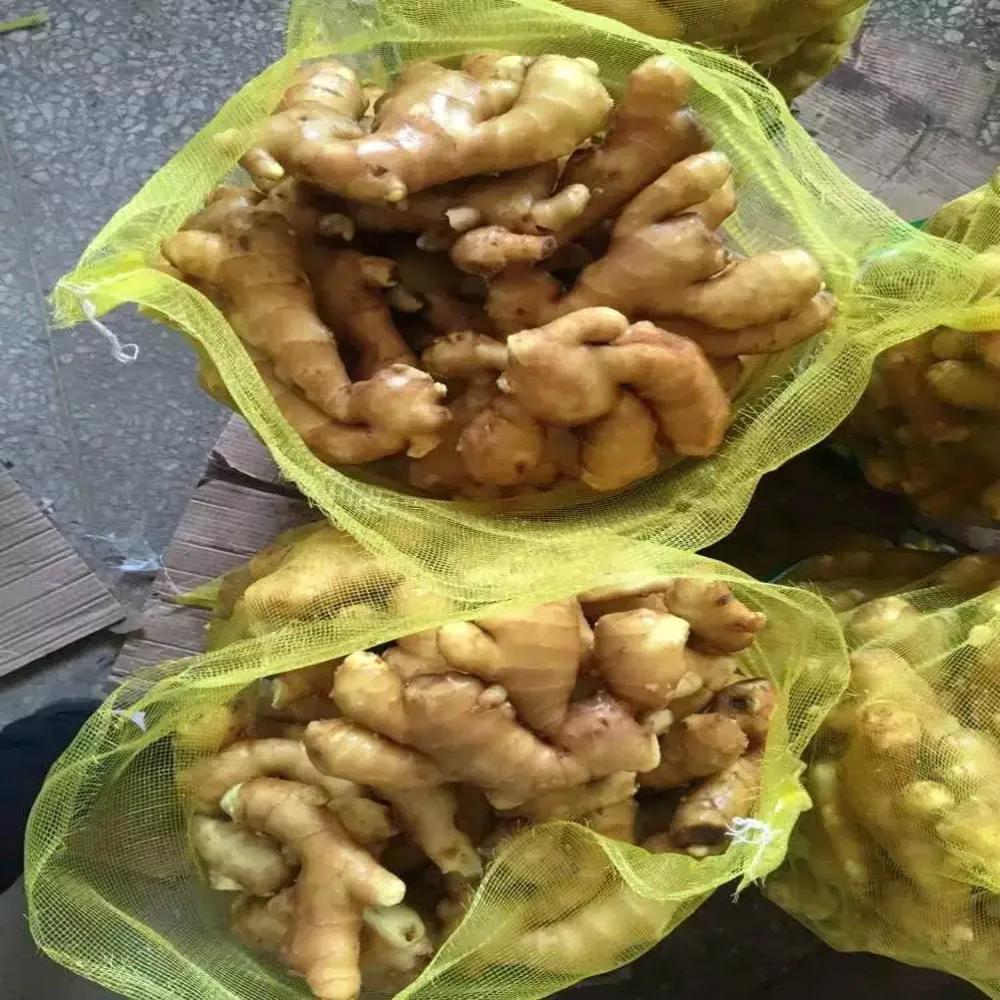 
Carton fresh ginger mesh bag fresh ginger 