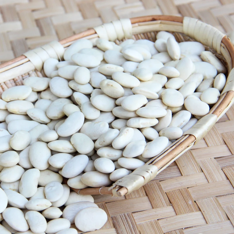 Types of white beans