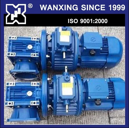 NMRV 063 Worm Gearbox with Horizontal Type Udl Series Planet Cone-Disk Stepless Motor Speed Variator